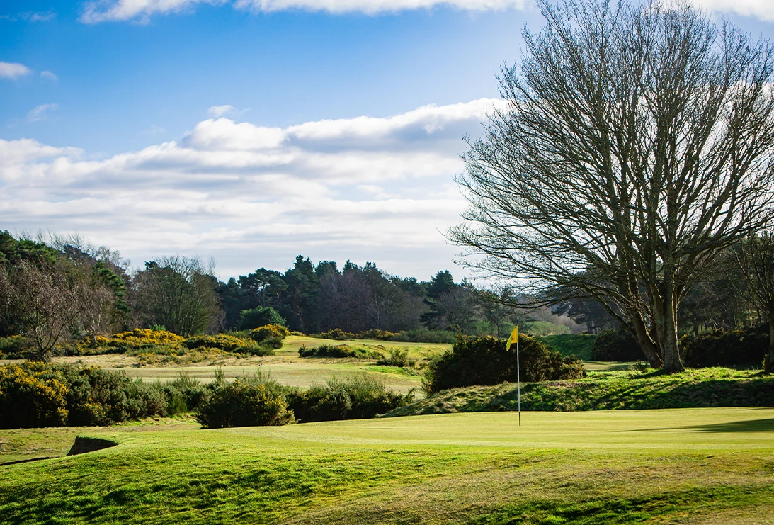 Scotscraig Golfing Club